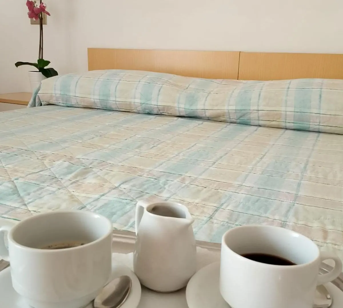 Hotel Gigliola 가테오 아 마레